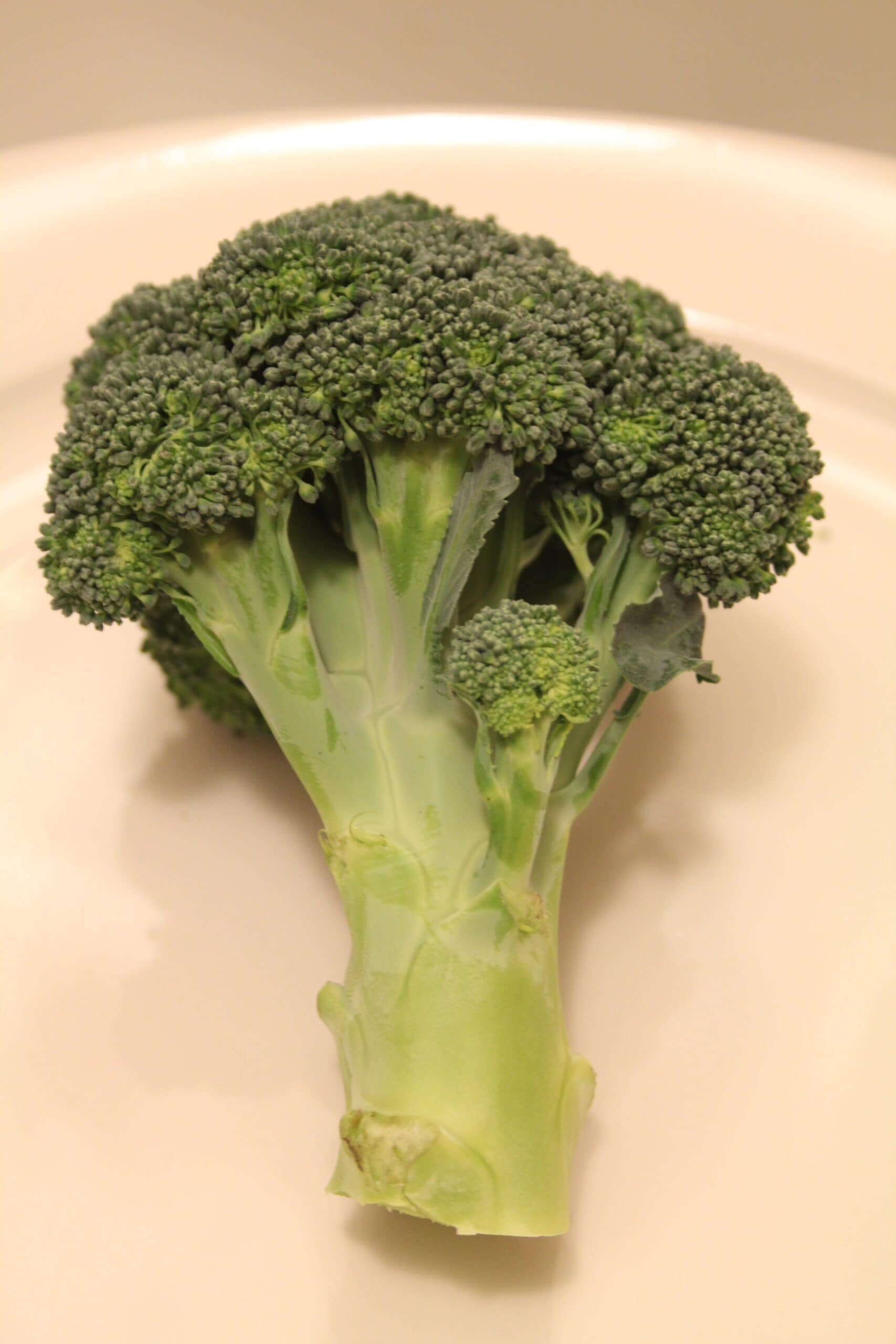 sulforaphane from broccoli helps autism