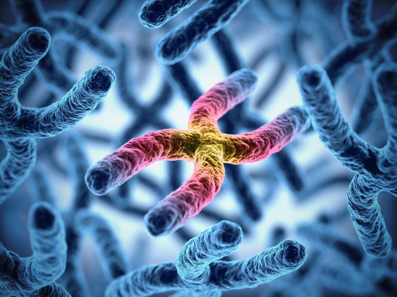 Take this Supplement, Live Three Years Longer!