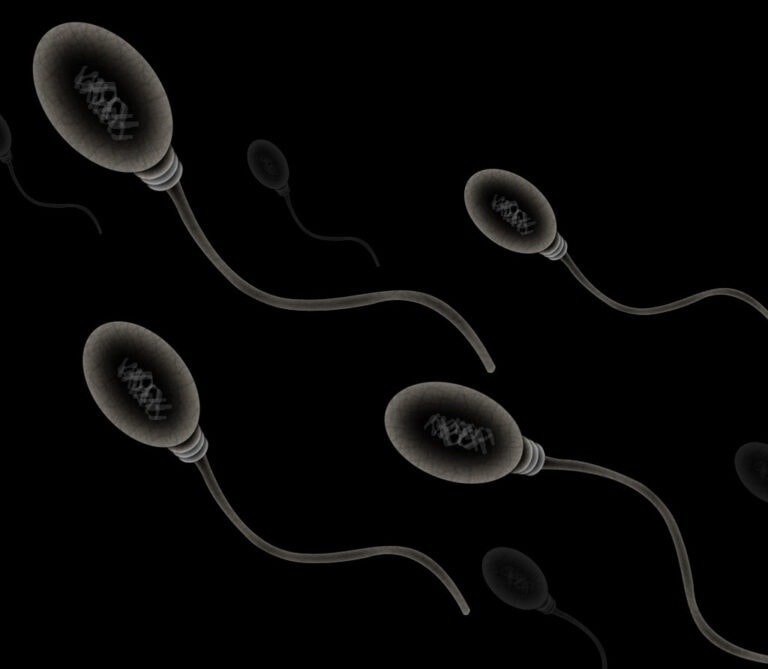 vitamin D promotes healthy sperm in infertile men