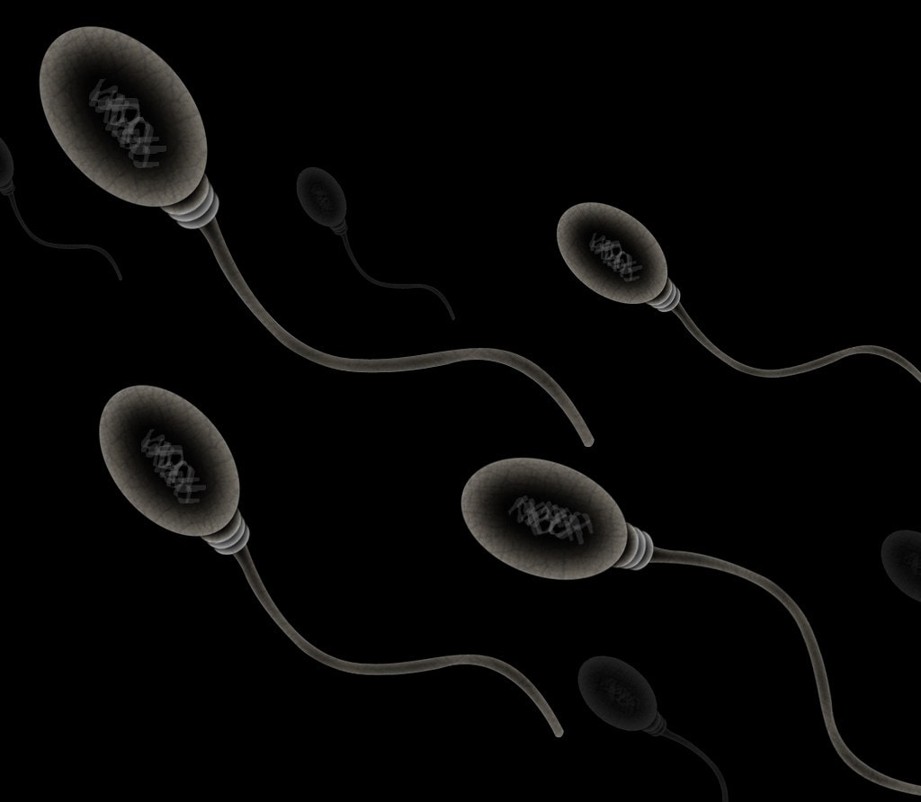 vitamin D promotes healthy sperm in infertile men