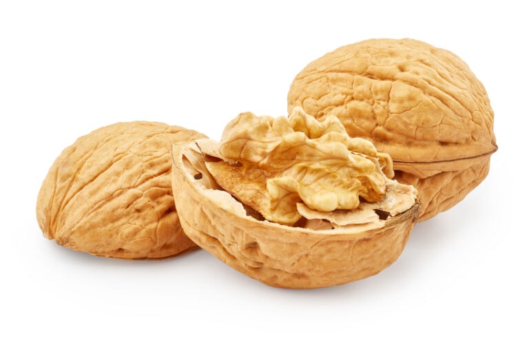 walnuts lengthen telomeres and may help you live longer