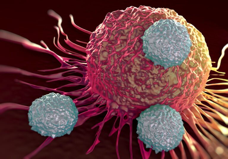 zinc improves immunity in elderly